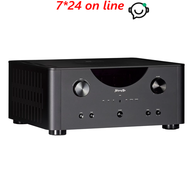 Shengya A-33 Hybrid Integrated Amplifier With Tube Preamp & Solid-State Power Stage Hi-Fi Audiophile Stereo Amp