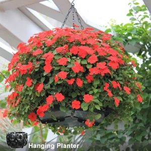 SOL Nueva Cesta Colgante Grande Decorativa con Forma de Bola de Flores, Fácil de Rellenar - Product Image 3