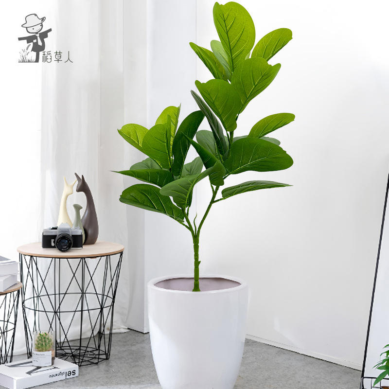 2 fourches 24 feuilles de piano banyan 82cm-sans bassin