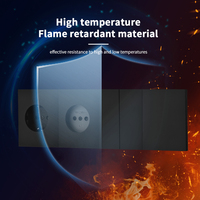 Interruptores y Enchufes de Pared WESA Ultrafinos con Botón Pulsador EU de 1/2/3 Vías con Enchufe USB Tipo C, Combinación Libre, Diseño Moderno de Lujo
