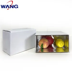 Refrigerador de alimentos aislado cajas de embalaje de cartón cajas de envío para el transporte de alimentos congelados cajas de embalaje cajas de cartón