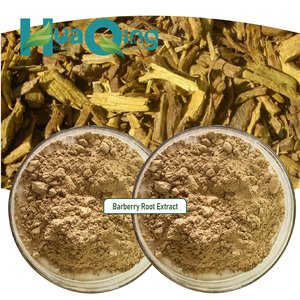 Suplementos De Erva Chinesa Extrato De Raiz De Bérberis - Product Image 5