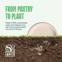 Bols jetables robustes 100% compostables de 9 pouces, assiettes en papier écologiques biodégradables en bagasse de canne à sucre pour fêtes