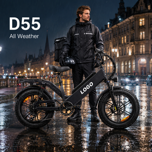 Vélo électrique D55 amélioré avec éclairage LED, batterie 48V 55Ah, autonomie 240km, moteur 750W, pneus larges, idéal pour la livraison nocturne et la vente en gros - Product Image 1