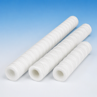 Cartouche filtrante DM en coton dégraissé de 5 pouces, enroulée, pour réservoir sous pression, 10 microns, haute température, traitement chimique de l'eau