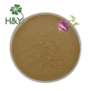 Factory Supply High Quality Best Price Hot Selling Healthway Supply Dried Turnip Extract Turnip Extract Powder