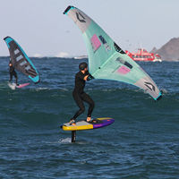Aile de surf gonflable portative, voile de wingsurf en polyester Ripstop pour hydrofoil, SUP, sports nautiques