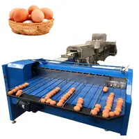 Lavage des oeufs de poulet automatique machine/machine de nettoyage de l' oeuf commerciale - Chine Machine à laver d'oeufs de poulet, Machine de  nettoyage de l'oeuf commercial