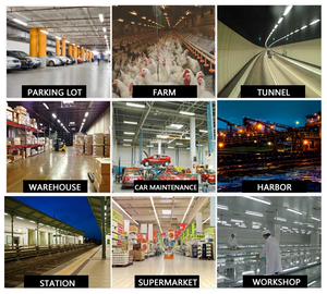 Luminaria LED Triproof Impermeable al por Mayor de 2FT/4FT/5FT para Almacenes, Resistente a la Humedad, Luz Diurna 6000K, AC 85-265V, 50000 - Product Image 5