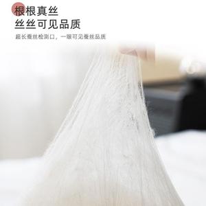<b>Handmade</b> Mulberry Silk <b>Quilt</b> 100% Cotton 3-4 Jin Four Seasons Home Use - Product Image 3