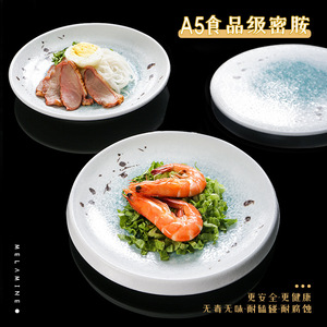 Assiettes en mélamine, assiettes à sushi en plastique, vaisselle de restaurant et de restauration commerciale, imitation épaissie et résistante aux chocs - Product Image 2