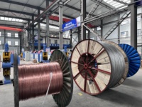 Câbles de mise à la terre électriques BV BVR de haute qualité 450/750V, âme en cuivre massif, isolation PVC pour applications électriques et de construction