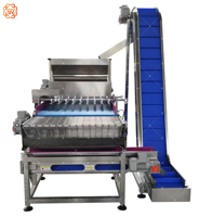 Machine automatique TUORONG pour la saupoudrage de noix et l'application uniforme de chocolat sur les snacks enrobés de chocolat et de caramel