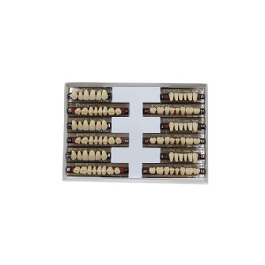 Prótesis Dentales Anteriores de Resina Acrílica de 2 Capas, <span class=keywords><strong>Dentadura</strong></span> <span class=keywords><strong>Superior</strong></span> e Inferior - Product Image 3