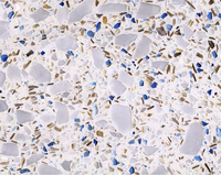 Plancher de Terrazzo Beige 300x300, carrelage de Terrazzo multicolore pour évier balcon australie