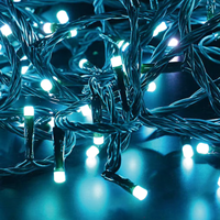 Nouvelle décoration de Noël Noël Led Light Outdoor Holiday Party Led Lights Christmas Light