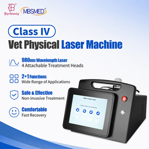 Máquina Láser Veterinaria Avanzada de 980nm y 30W con Martillo de Hielo para el Manejo del Dolor en Perros, Gatos y Caballos - Product Image 1