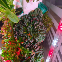 Tour de culture verticale aéroponique pour serre agricole commerciale avec système hydroponique et lumière de croissance pour légumes