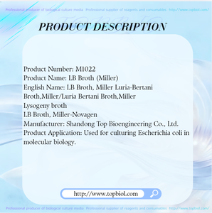 Bouillon de <span class=keywords><strong>Luria</strong></span> Bertani Miller utilisé pour la culture d'Escherichia Coli en biologie moléculaire - Product Image 2