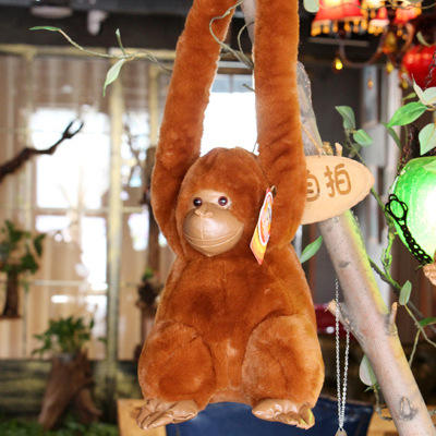 สีน้ำตาล