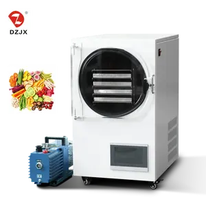 DZJX fd 10 -80 Kemolo Small Medium Large Lyophilizer Vacuum Freeze Dryer Freeze Drying Machine Price For Food Vegetable Fruit