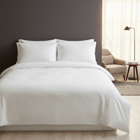 Parure de lit de luxe en bambou tissé 300TC avec drap plat et deux taies d'oreiller – Respirante, écologique et douce