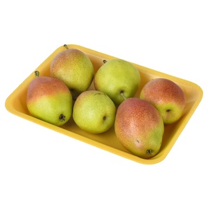 Wholesale Disposable Rectangle PET Foam Meat Tray Plastic Seafood Meat Packaging Tray For Supermarket