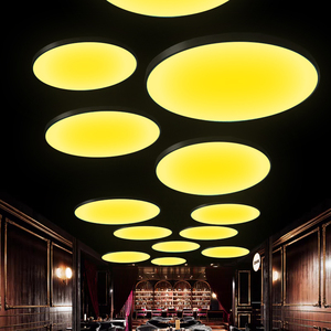 Lumière circulaire LED RVB 30 watts graffiti télécommande intelligente Bluetooth WiFi gradable suspension salon salle de sport bar luminaires - Product Image 6