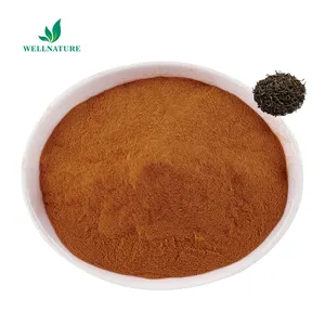 High Quality Pure Health Drink Black Tea Leaf Powder Instant Solubilty Black Tea Powder