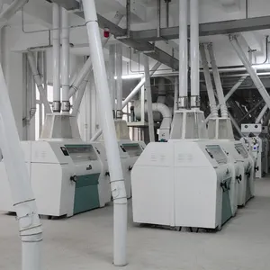 Compleet Tarwe Korenmolenmachines Turkije Project Tarwe Korenmolen