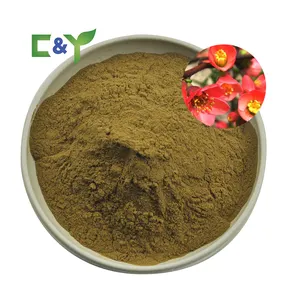 High quality flowering quince extract powder flowering quince powder flowering quince extract