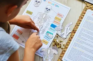 Grosir Anak-anak Berperingkat Bahasa Inggris Membaca Buku Gambar Cetak