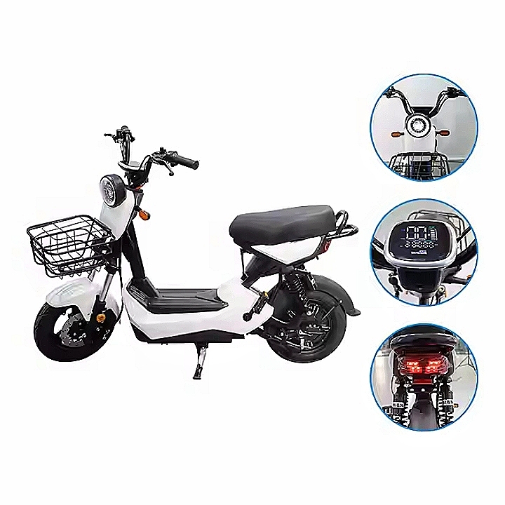 High Standard 48V 20Ah Disc Brake