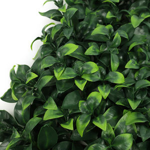 Panneaux muraux de <span class=keywords><strong>haie</strong></span> de buis artificiels 50*50cm Eco PE-Fausse <span class=keywords><strong>haie</strong></span> verte pour une intimité instantanée - Product Image 4