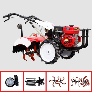 Artisan — roue de jardin rotative <span class=keywords><strong>mantis</strong></span>, jouet éducatif, européen - Product Image 3