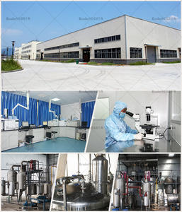 Venta al por mayor a granel Beta-alanina aditivos para alimentos y piensos mejorar el rendimiento atlético CAS 107-95-9 Beta alanina en polvo - Product Image 6