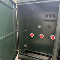 Transformateurs triphasés à alimentation radiale et en boucle, montés sur socle, type piédestal, norme IEEE/ANSI IEC 500-5000 kVA, 13,8 kV-480 V