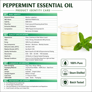 Peppermint Essential Oil Steam Distilled Mentha Piperita Oil for Beauty Training Institute SalonAromatherapyTeachingBulkCosmetic - Product Image 2