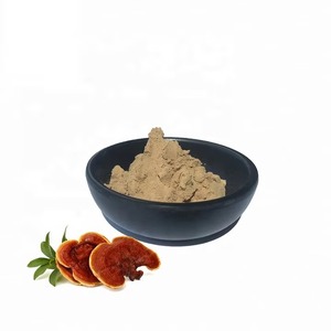 Extracto de Hierbas Naturales, Polvo de Polisacáridos de Trametes Robiniophila y Sophora Japonica, Cultivo Silvestre, Extracción por Solvente de Micelio - Product Image 2
