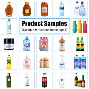 Machine de remplissage de pâte de miel ORME à haute viscosité pour bouteille de sauce piquante Guacamole 250ml avec trémie - Product Image 6