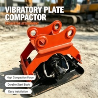 Compacteur vibrant hydraulique haute efficacité à alimentation directe avec plaque remplaçable pour le nivellement du sol