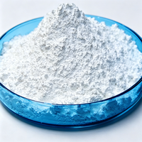 Nano Alúmina CAS 1344-28-1, Polvo de Grado Nano con 99.9% de Pureza para Recubrimiento de Separadores de Baterías de Litio