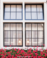 Ventana de reemplazo de Casa de Florida, precio de fábrica, ventanas de impacto a prueba de huracanes del Caribe, ventana de acero de imagen fija de vidrio grande