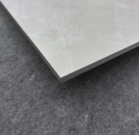Matériaux de construction : Carreaux de sol en céramique au design moderne pour villas et murs extérieurs, 600x600mm, surface en porcelaine mate.