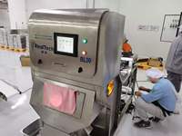RealTech trieur de couleur d'ail pelé trieur de couleur de caméra CCD Machine de traitement des aliments