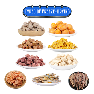 Friandises pour chats à base <span class=keywords><strong>de</strong></span> lécithine <span class=keywords><strong>de</strong></span> poulet lyophilisée, également appelées granulés <span class=keywords><strong>de</strong></span> jaune d'œuf congelé pour animaux <span class=keywords><strong>de</strong></span> compagnie - Product Image 3