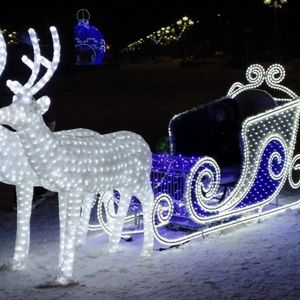 Renne LED avec traîneau-Décoration lumineuse de Noël pour l'extérieur - Product Image 4