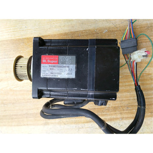 DENKI Motor P50B07030DXS4E - Product Image 2