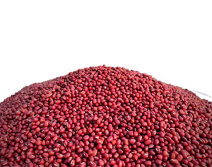 Commercio all'ingrosso naturale biologico fagioli rossi alla rinfusa morbido piccolo rosso fagioli secchi freschi fagioli rossi per <span class=keywords><strong>la</strong></span> vendita - Product Image 4