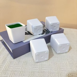 Pot de fleurs carré en plastique Paulon blanc 5,5 cm avec mousse pour la décoration intérieure et la plantation sur bureau - Product Image 2